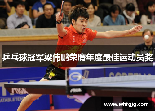 乒乓球冠军梁伟鹏荣膺年度最佳运动员奖